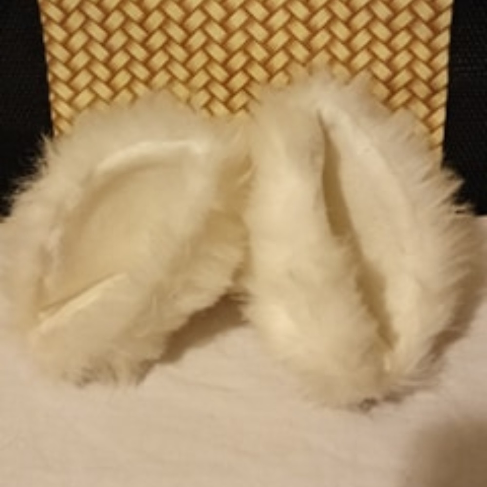 Wolf Ears - Picture 2 of 4